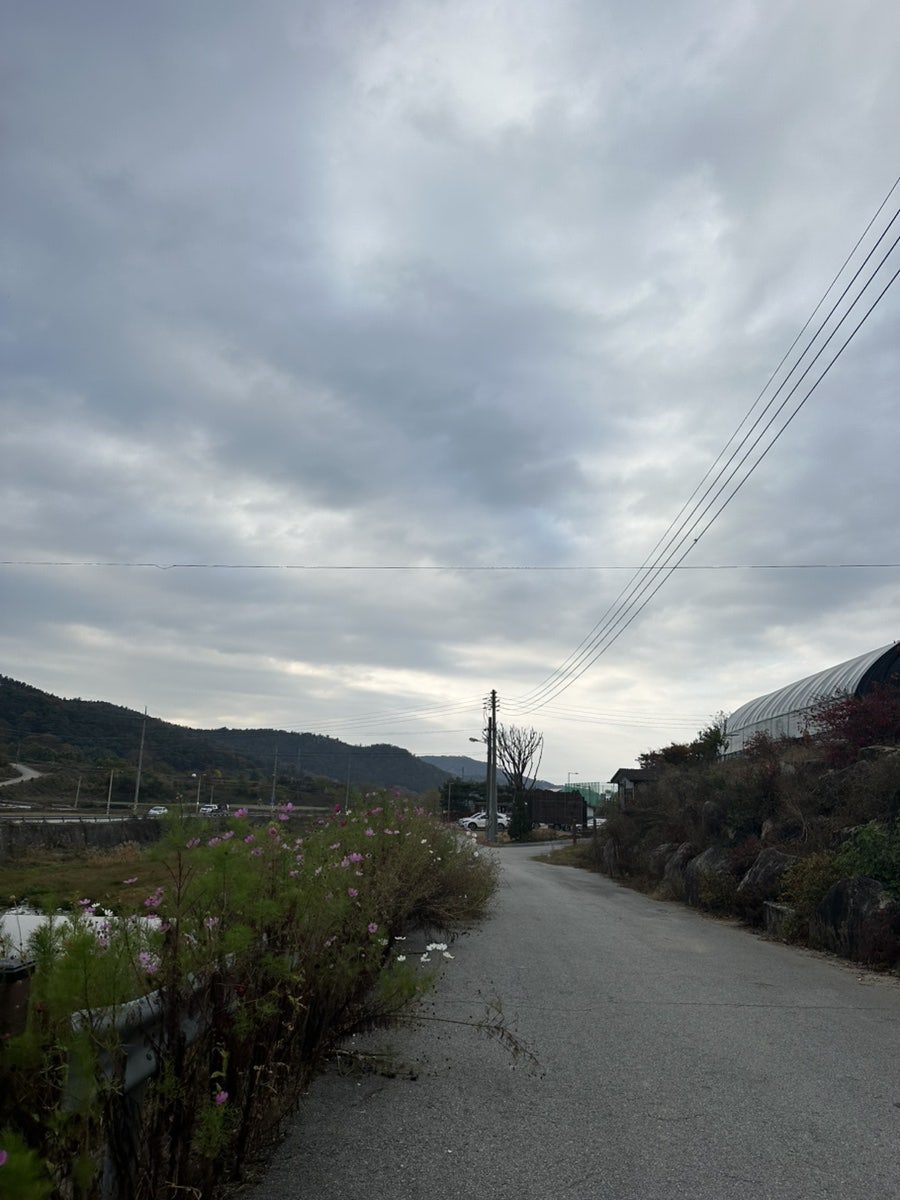 수류산골야영장 사진 6
