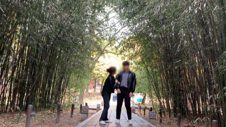  [전주/군산여행] 전주,군산 2박3일 11월 가을여행 마무리