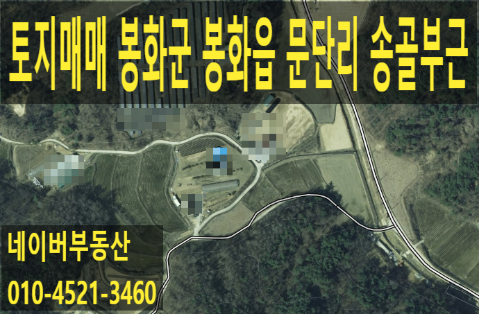 송골 사진 1