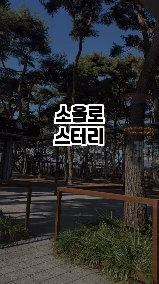  춘천 최고의 힐링카페, 소울로스터리를 소개합니다!