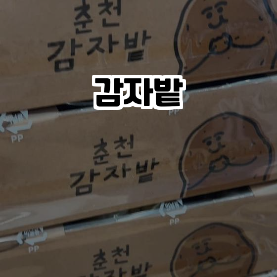  춘천의 감자밭, 신선한 감자빵과 특별한 음료를 만나다!