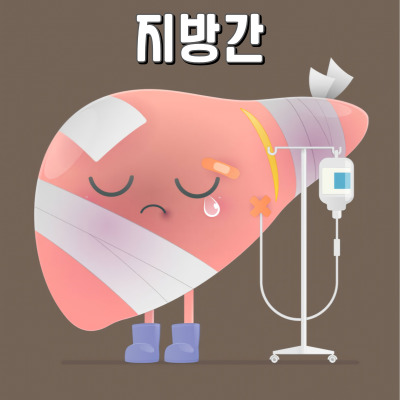 지방간 원인부터 좋은 음식까지 총정리