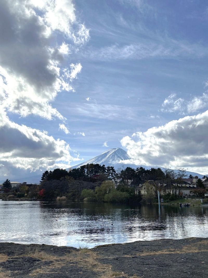 도쿄 단풍 여행 신주쿠 가와구치코 후지산 버스 정보 짐 보관 베이커리 카페 : 네이버 블로그