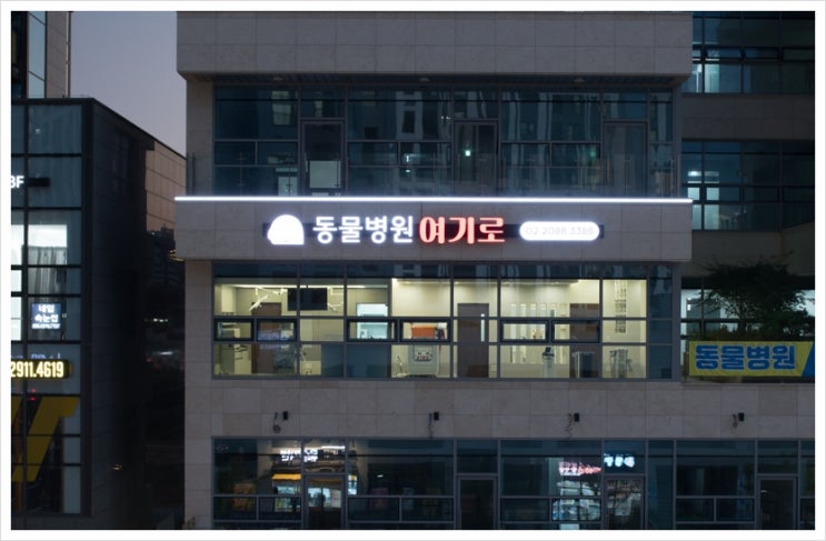  안양동물병원 슬개골탈구 수술부터 재활치료까지 한 번에!