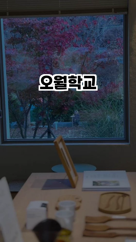  자연 속 보물 같은 카페, 오월학교 방문기 