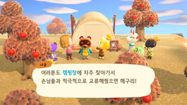 모여봐요 동물의숲 2주차ᰔ 무트코인 체험기 #모동숲 #닌텐도스위치 #닌텐도