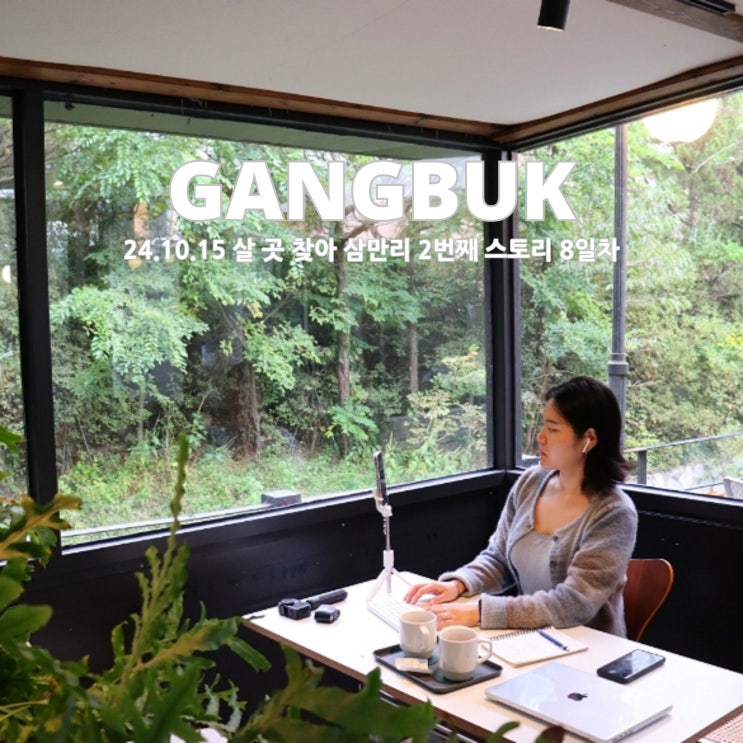  강북구 카페 식사 숙소 살 곳 찾아 삼만리 8일차