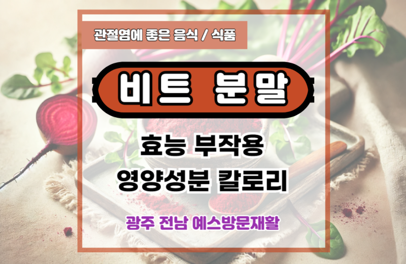 비트분말 비트가루 영양 성분, 효능, 부작용, 칼로리.
