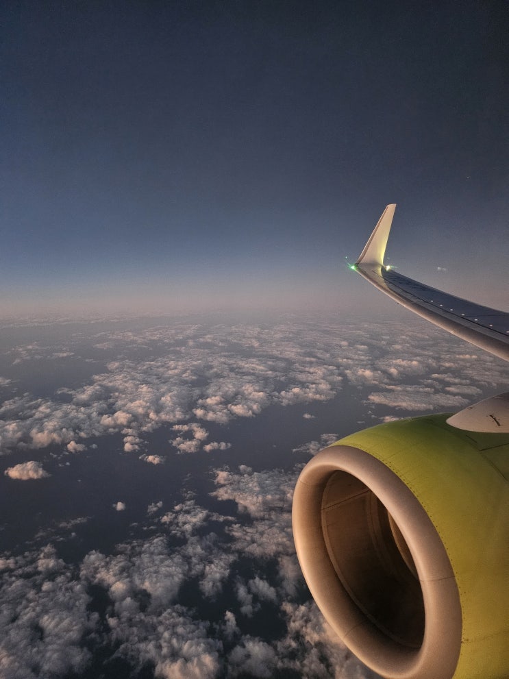  오사카 간사이 - 부산 김해공항 진에어 B737 탑승 및 면세품 구입 후기
