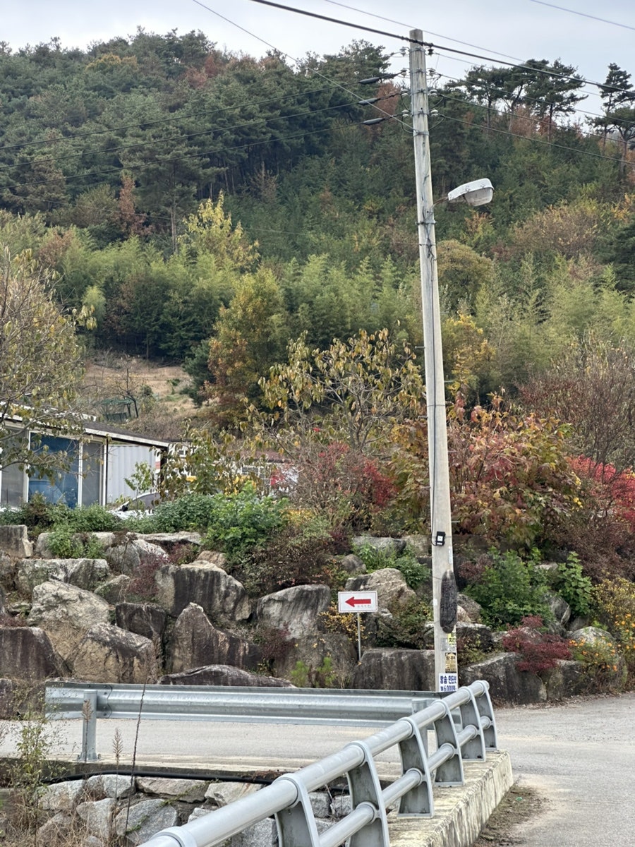 수류산골야영장 사진 5