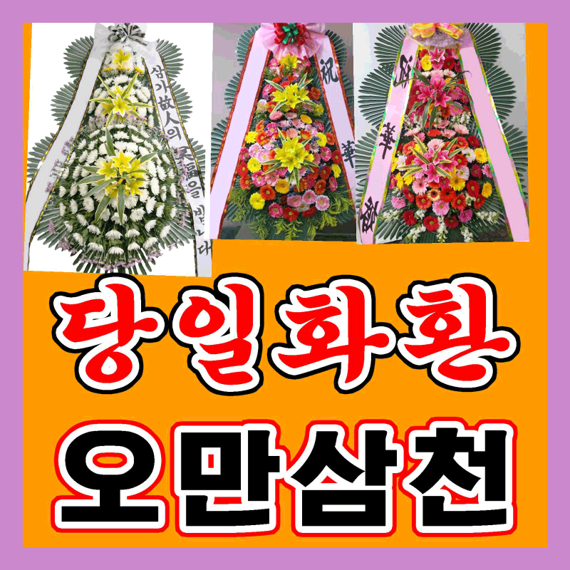 사진 3