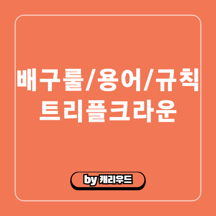 배구 트리플크라운 뜻 룰 규칙 역대 기록 달성 선수 순위