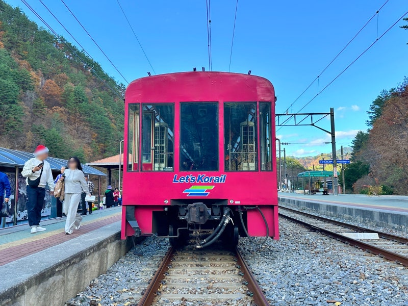사진 10