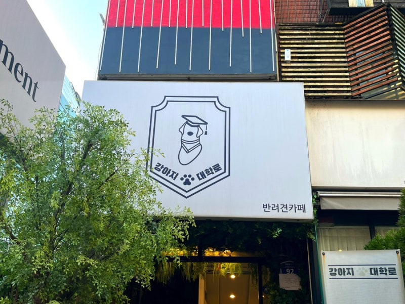 사진 2