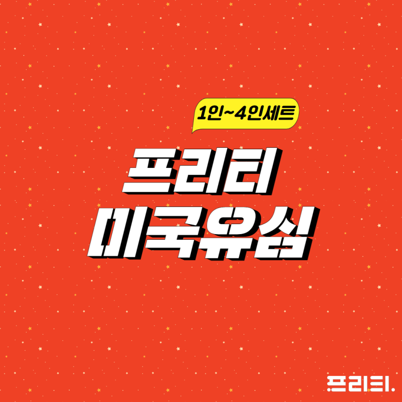[프리티 미국유심] 해외유심 구매 팁으로 여행 준비 끝!