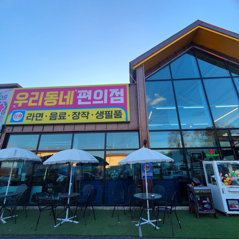 사진 5