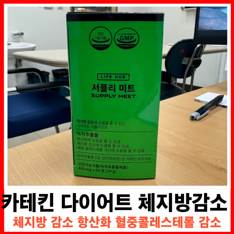  다이어트 보조제 추천 녹차 카테킨으로 완성하는 나만의 다이어트 루틴