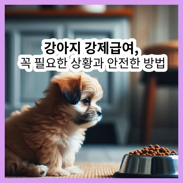  강아지 강제급여, 꼭 필요한 상황과 안전한 방법