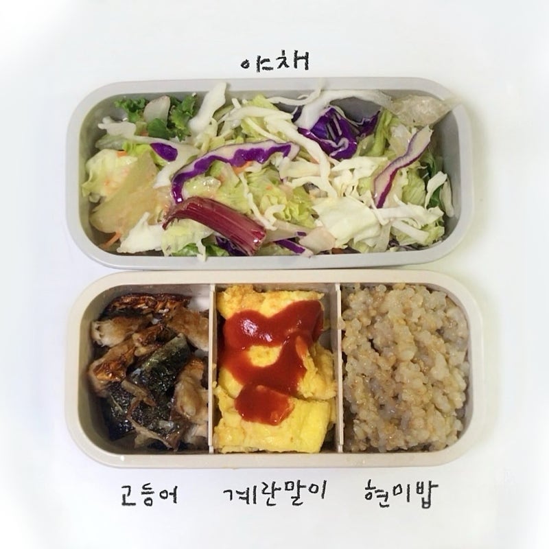 대학생 직장인 도시락통 추천 :: 락앤락 데일리 코튼 2단 도시락통_두달 실사용 후기 [내돈내....