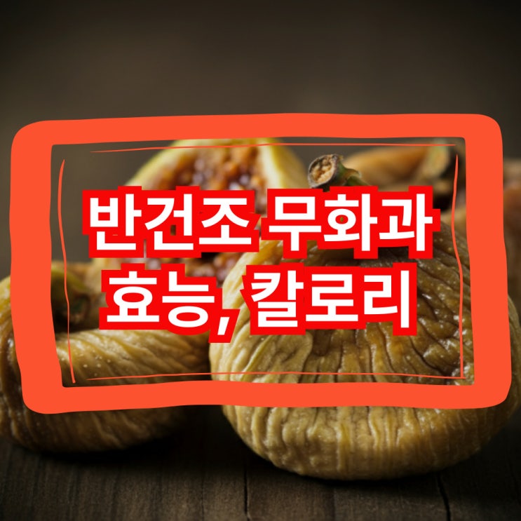  반건조 무화과 효능 9가지 효능과 칼로리까지 총정리