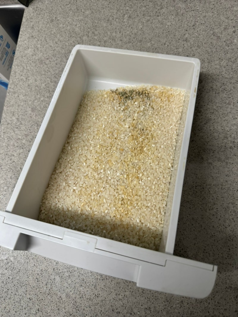 헤르젠 쌀 냉장고 곰팡이, 쌀벌레 AS 후기