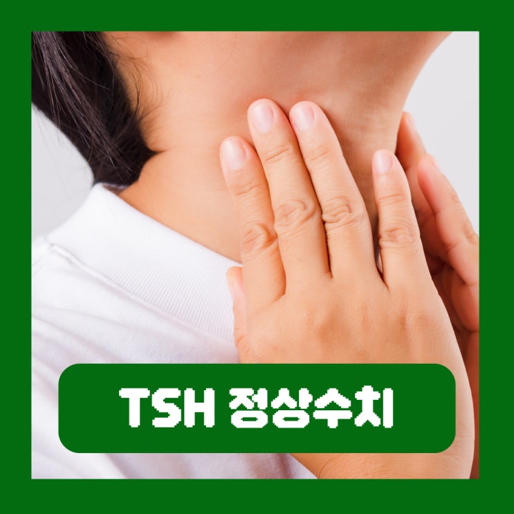  TSH 정상수치 갑상선자극호르몬 수치 높으면 낮으면 생기는 문제