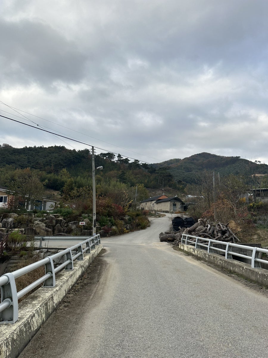 수류산골야영장 사진 4