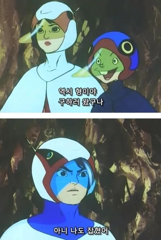  ️
