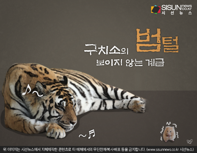 개털과 범털의 차이.
