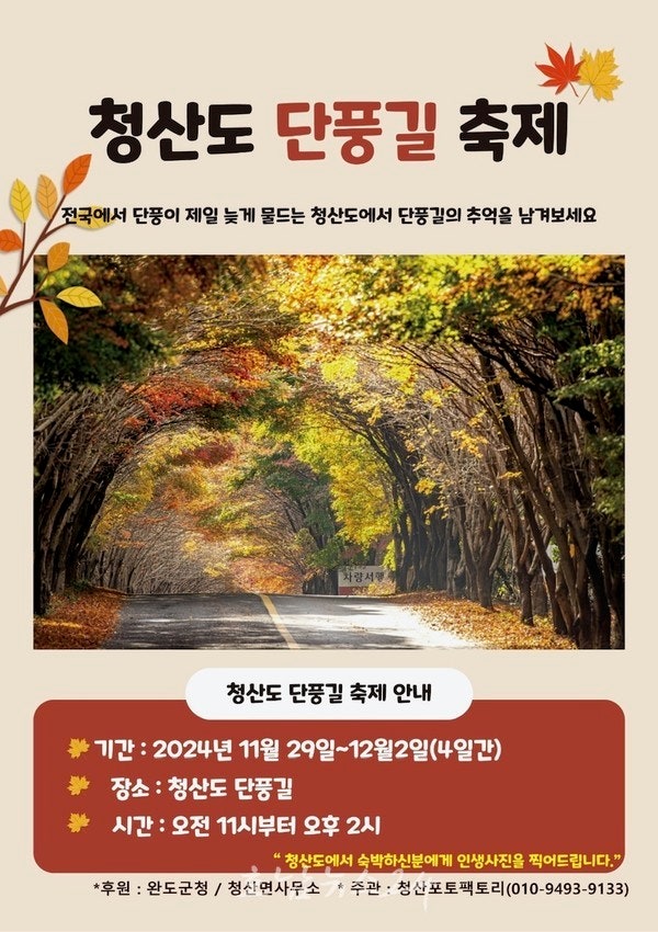  우리나라에서 가장 늦게 단풍 드는 슬로시티 청산도, 바다 어우러진 풍광에서 단풍길 걸으며 힐링하세요!