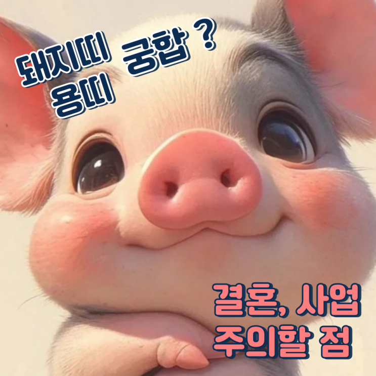  돼지띠 용띠 궁합 (결혼, 사업, 주의할 점)