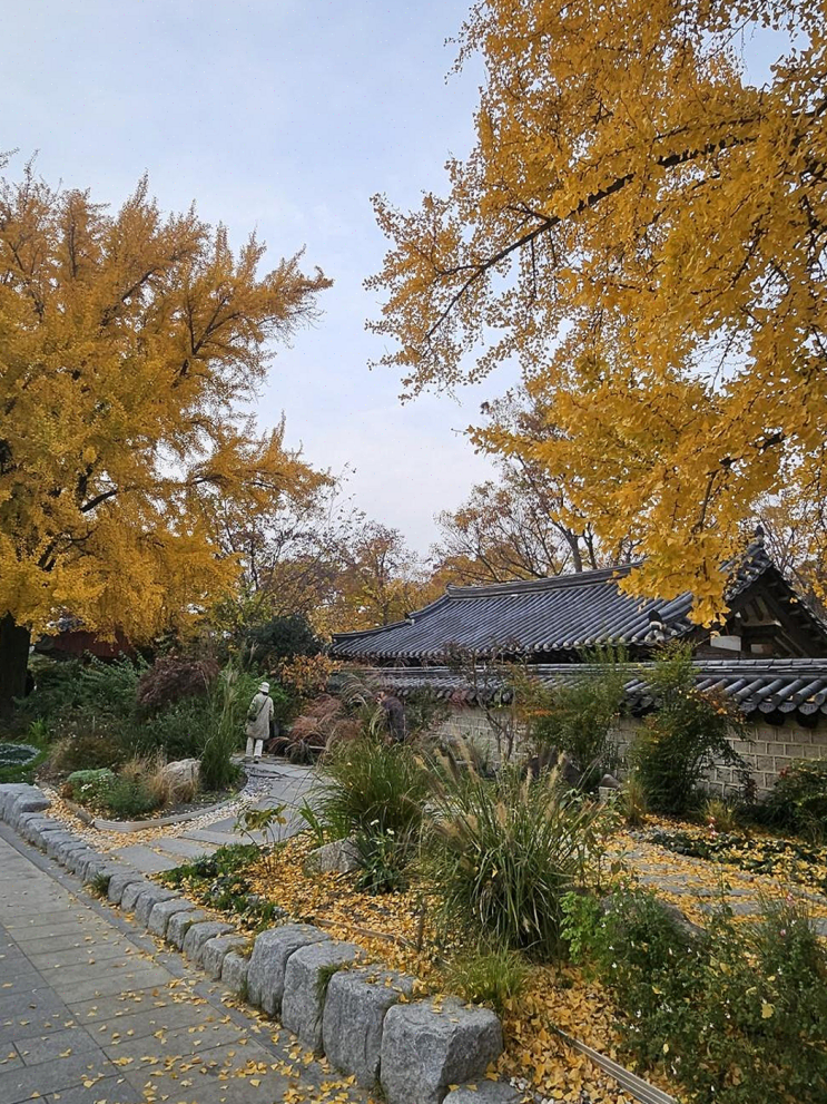  전주한옥마을 소리풍경, 문화체험을 완벽하게 즐길 수 있는 숙소!