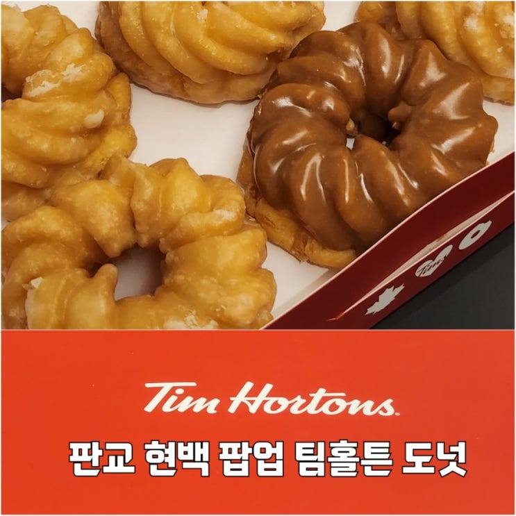  팀홀튼 도넛 판교현대백화점 팝업
