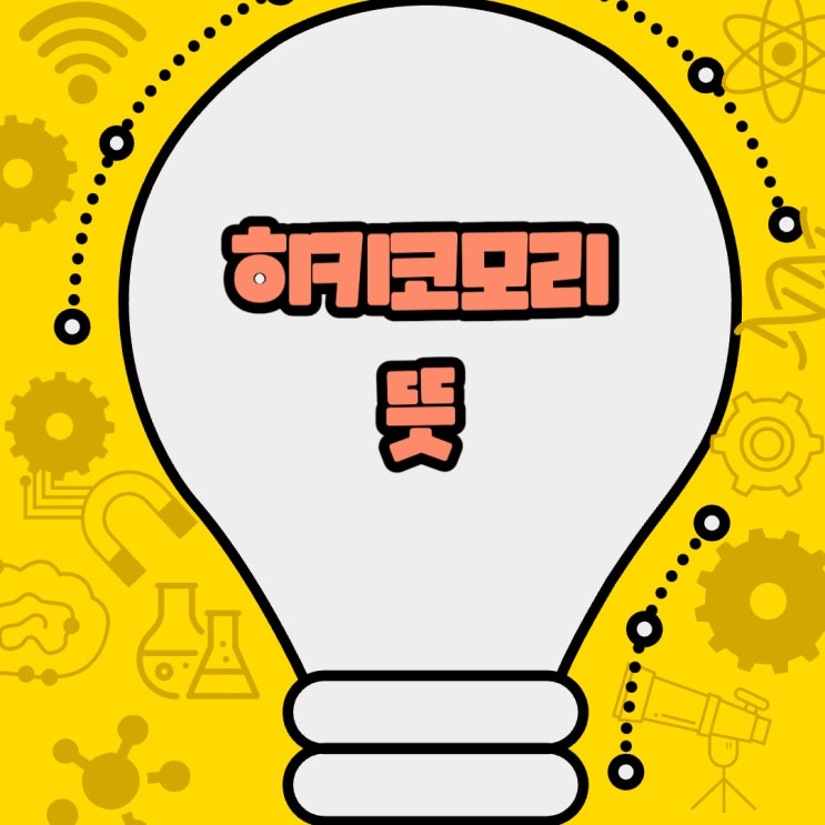  히키코모리 뜻 사회적 고립의 그림자와 그 이면