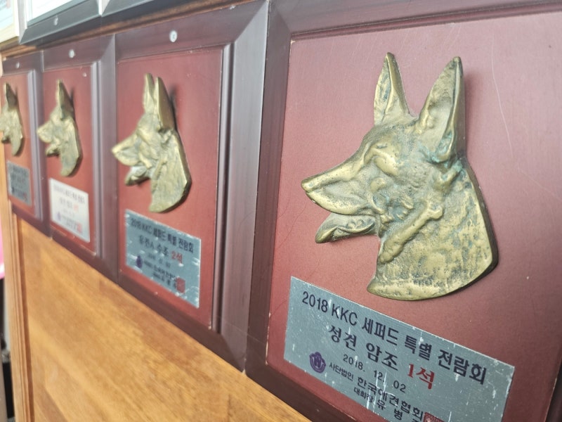 사진 6