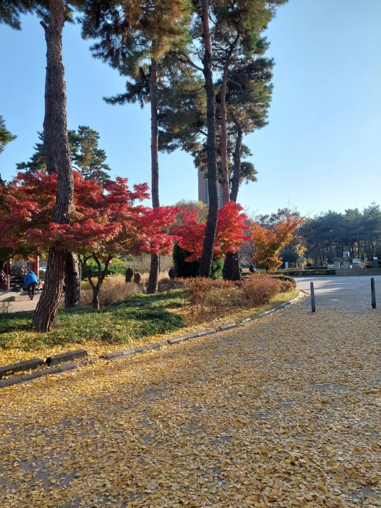 <b>남산</b> 북측<b>순환로</b> 가을 단풍길