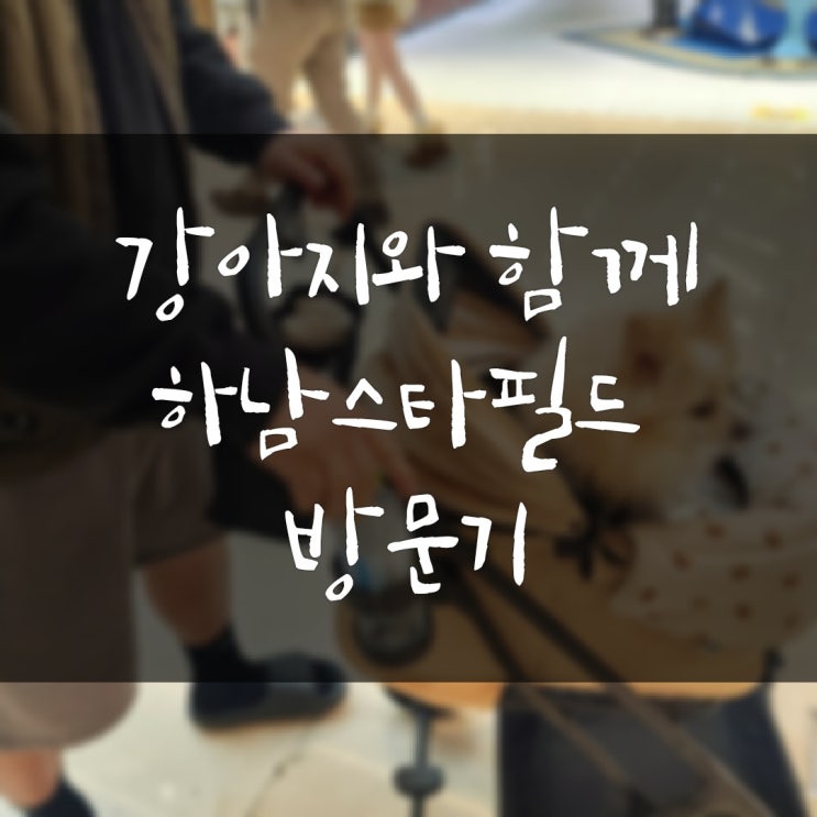 하남 스타필드 반려견과 첫 방문기(팝업스토어,펫파크,애견동반식당)
