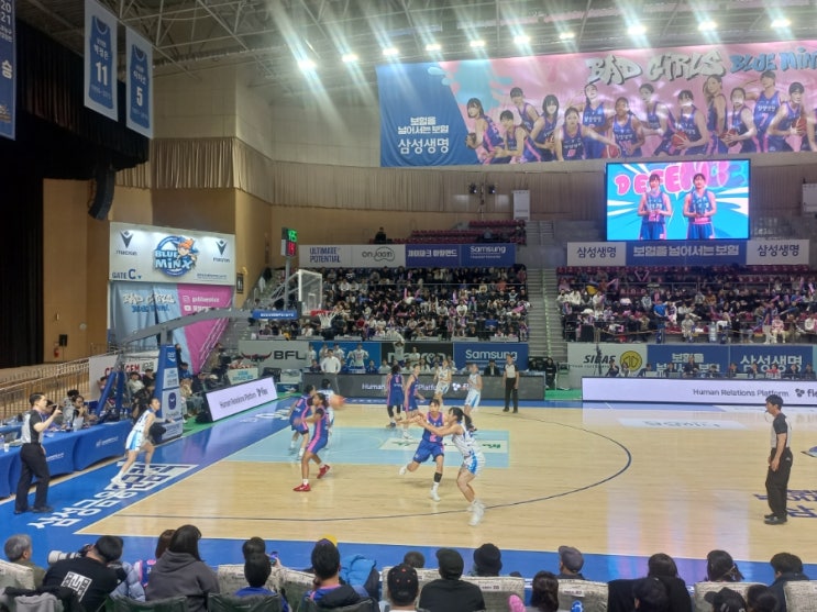 WKBL 직관 <b>삼성생명</b> <b>우리은행</b> 11월 25일 일반석 A구역