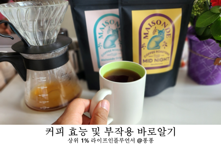  원두 블랙 커피 효능 식후 커피 빈속에 커피 속쓰림 이뇨작용 커피중독 바로 알기