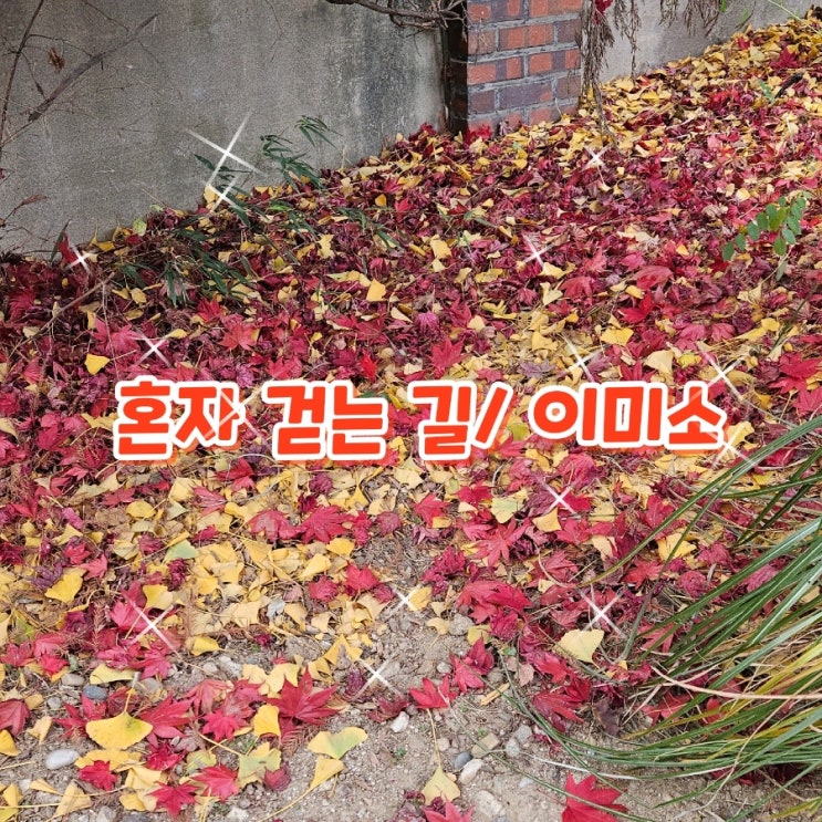 혼자 걷는 길/ 이미소
