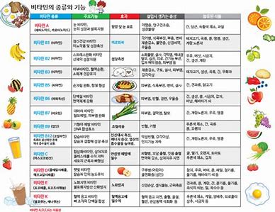비타민의 종류 및 효능과 일일섭취량