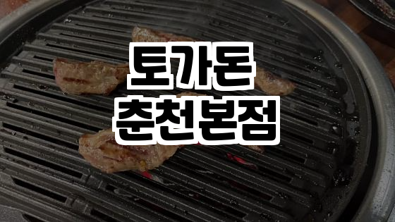  춘천의 숨겨진 맛집, 토가돈 춘천본점! 