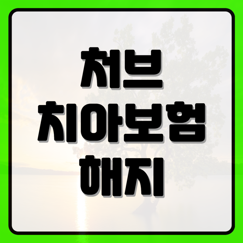 처브치아보험해지 과정 및 정보 알아보세요
