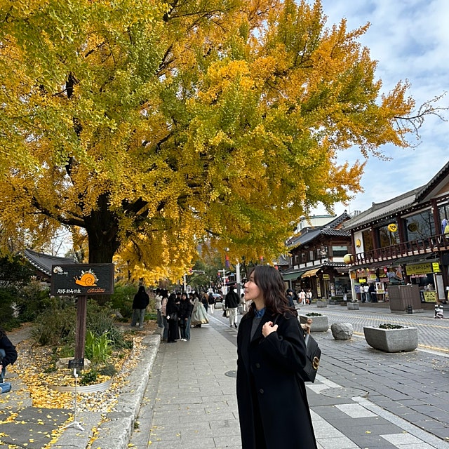 잠깐 느껴본 가을 🍁
