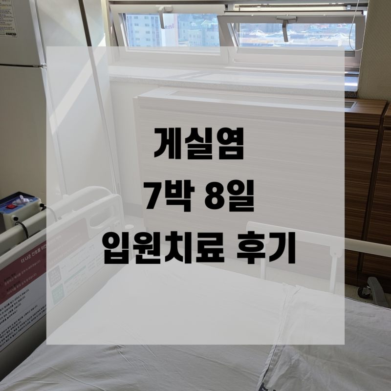 게실염 7박 8일 입원치료 후 회복 전 퇴원강행한 후기 검사수치 항생제