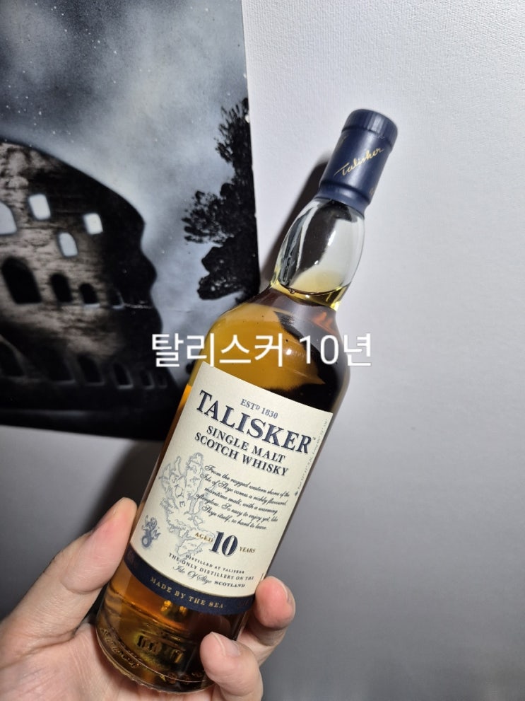  탈리스커 10년 가격, 시음기