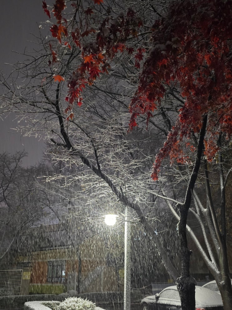 <b>서울 첫눈 대설주의보</b>