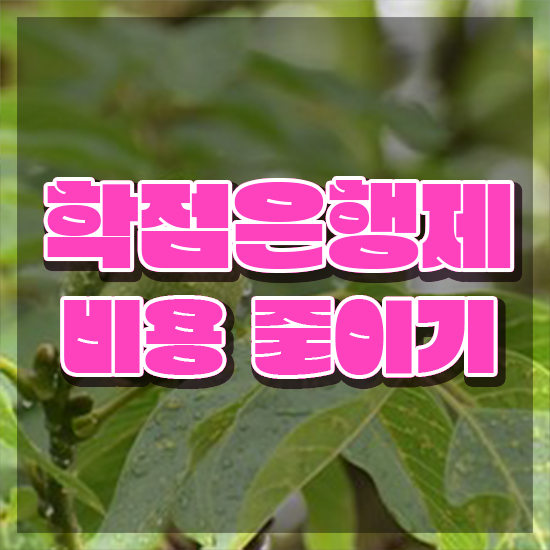  학점은행제플래너비용 , 학점은행제 학습플래너가 비용절감 기간 단축 팁 총정리 했어요