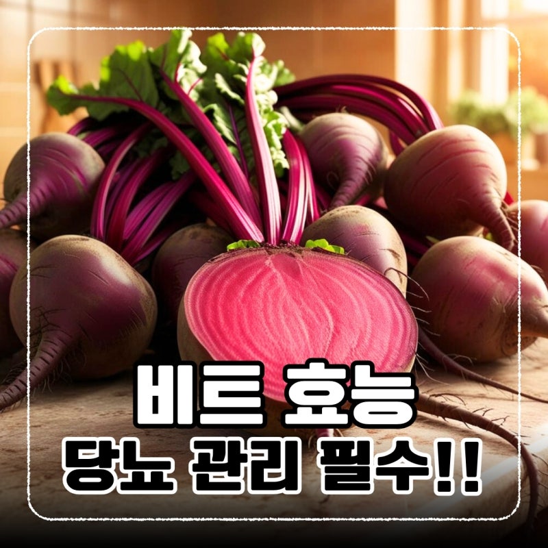 비트 효능 : 비트 당뇨에 도움 되는 이유, 당뇨환자 비트 레시피