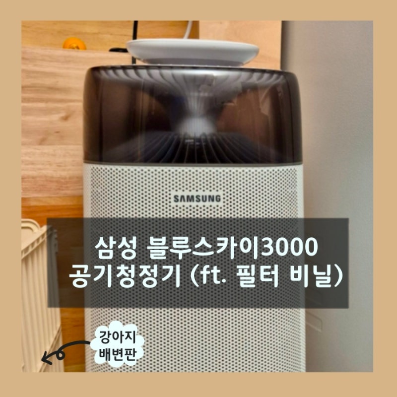자취생 삼성 블루스카이3000 공기청정기 2년 간 필터 포장 안 뜯고 사용...